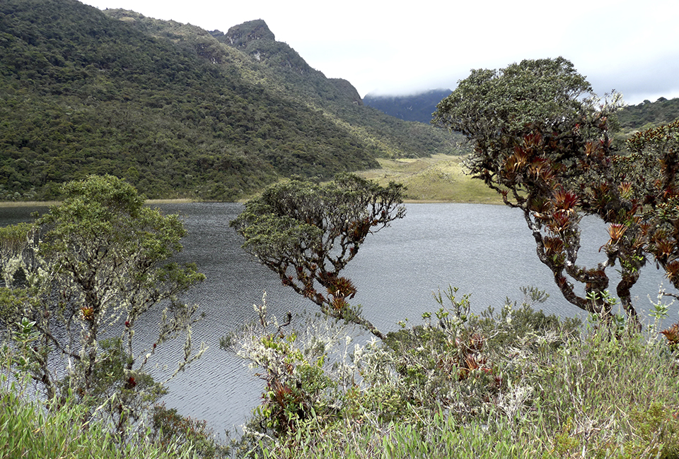 ANDEAN REGION COLOMBIA