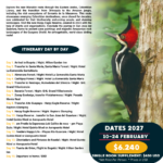 2. TRANSITION ANDEAN ORINOCO AND AMAZON