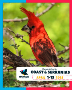Birding Tour - CLASSIC ATLANTIC COAST & SERRANIAS - April 2025