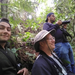 Birding in Andes with Manakin