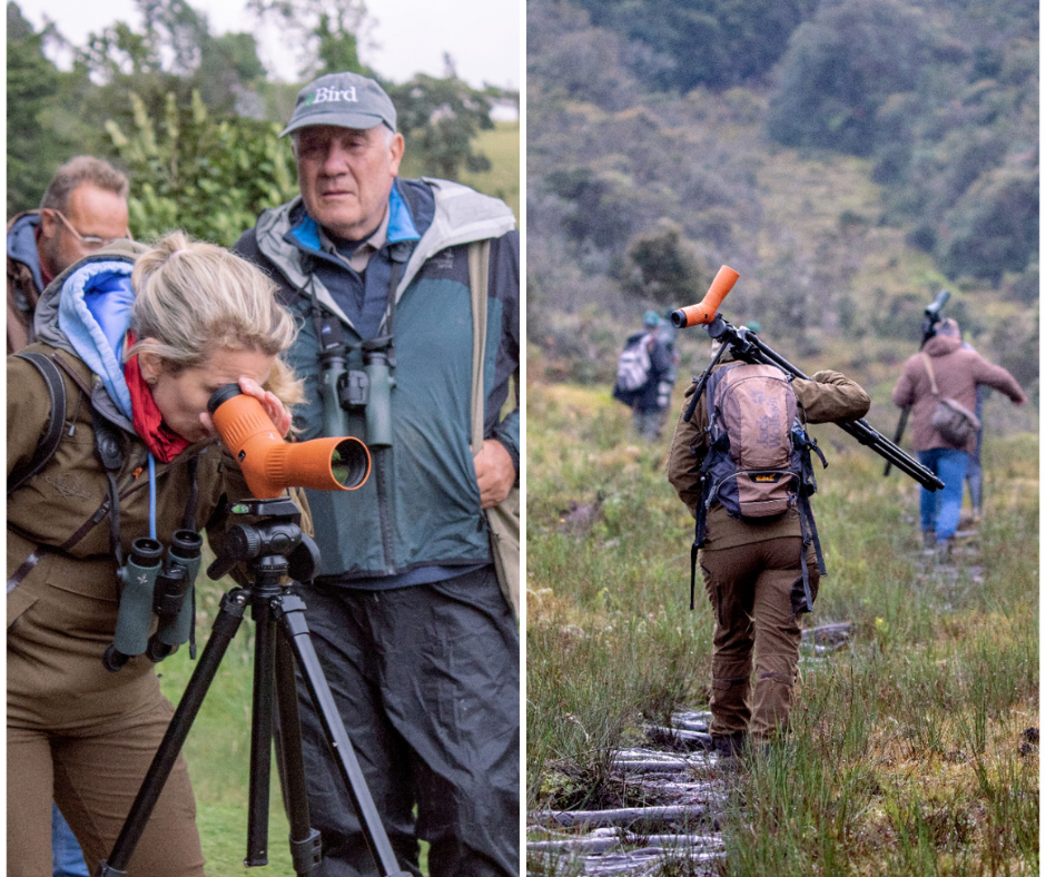 Birding in Colombia At The South Of Colombia Birding, Conservation And The New Swarovski Atc Spotting Scope