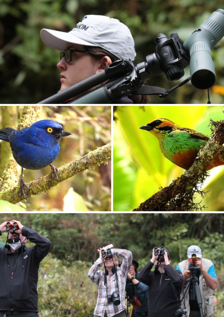 Birding in Colombia At The South Of Colombia Birding, Conservation And The New Swarovski Atc Spotting Scope