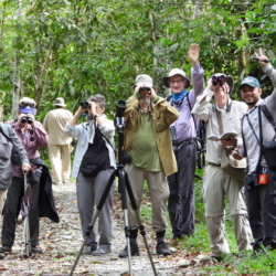 Birding in El Escondite - Southren Colombia VENT (3)Birding in El Escondite - Southren Colombia VENT
