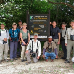 Birding in Guajira Peninsula with Holbrook Travels(1)