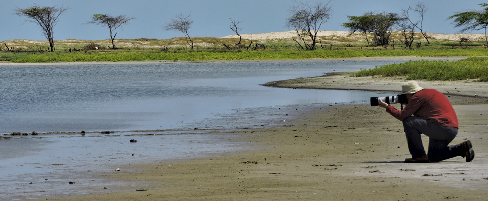 Birding in Guajira Penisula - Colombia Birdwatch