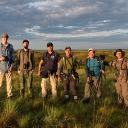 Birding in Llanos with Manakin