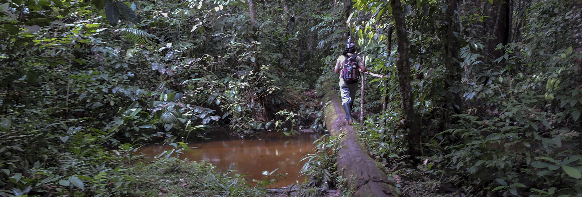 Birding in Mitu