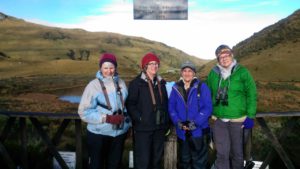 Birding in Nevado del Ruiz National Park