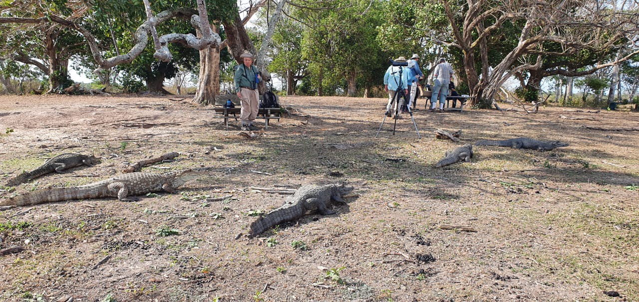 Birding tour in Colombian Llanos