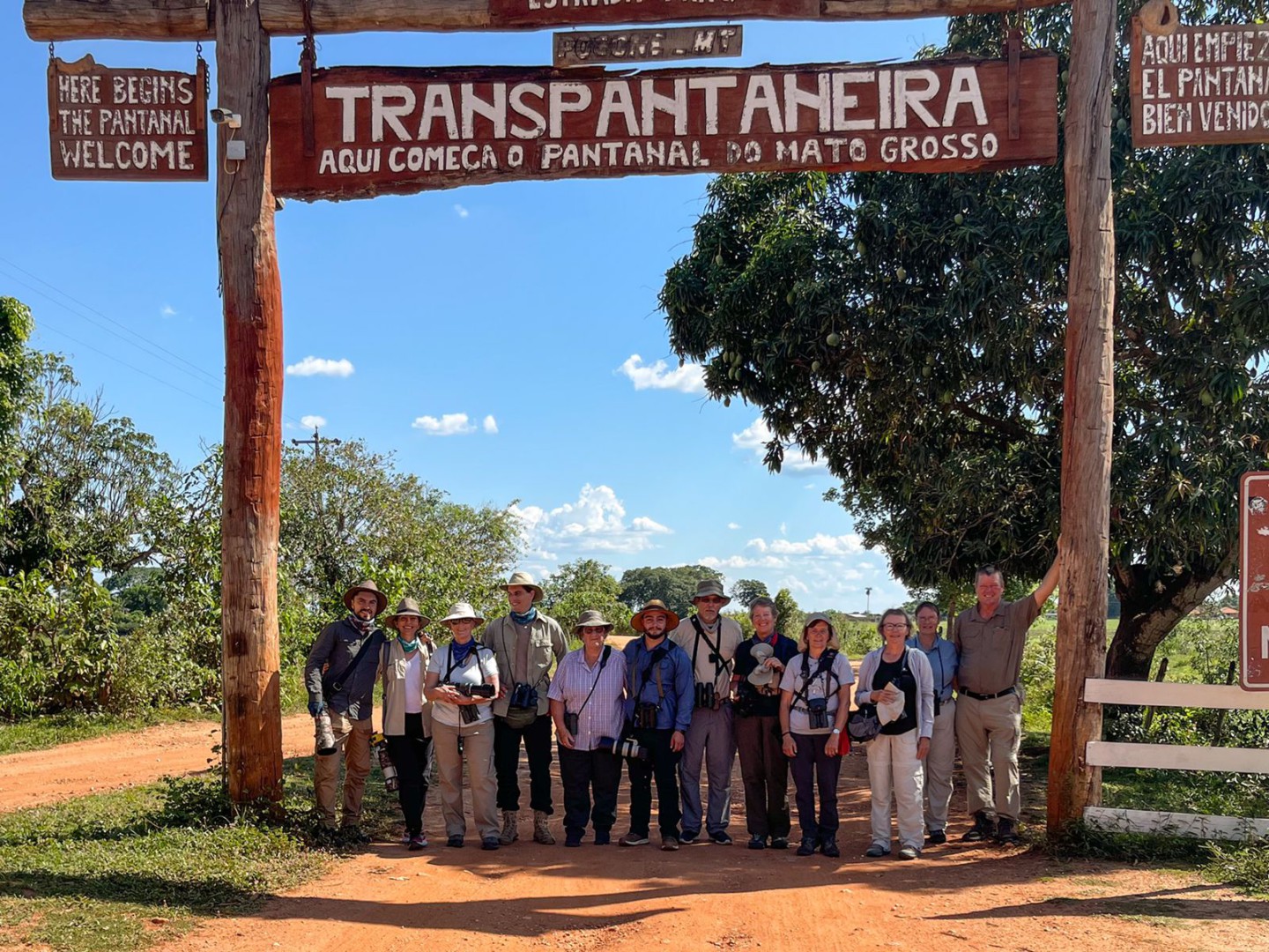 Brazil Birding Tour - Atlantic Forest and Pantanal (119)