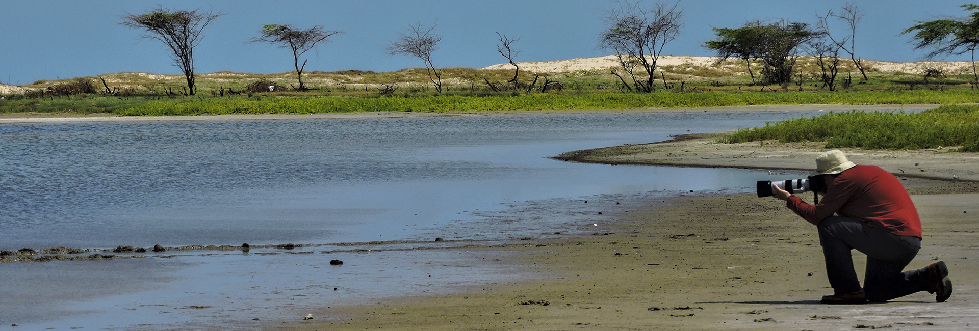 Colombia Birding Caribbean Coast