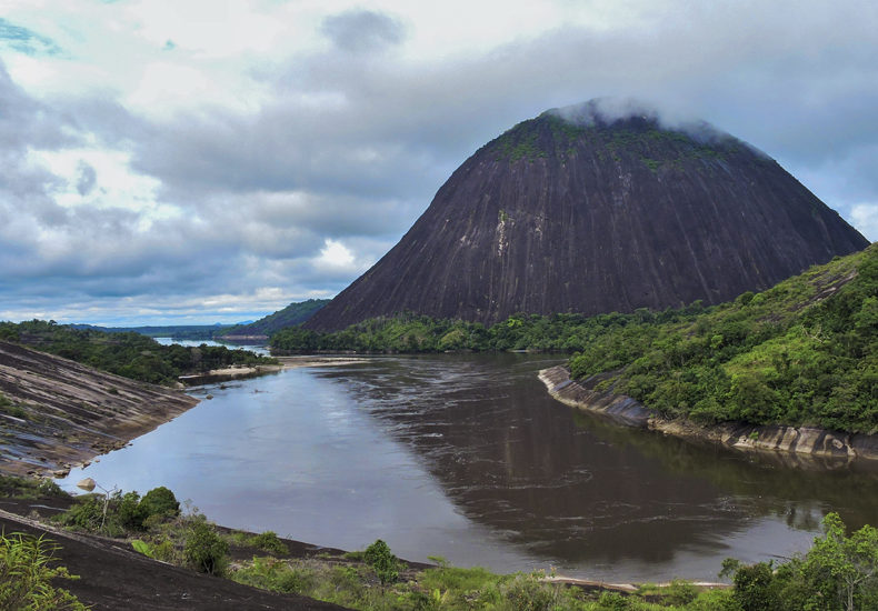 Birding and Nature Tours in Colombia - Colombian amazon