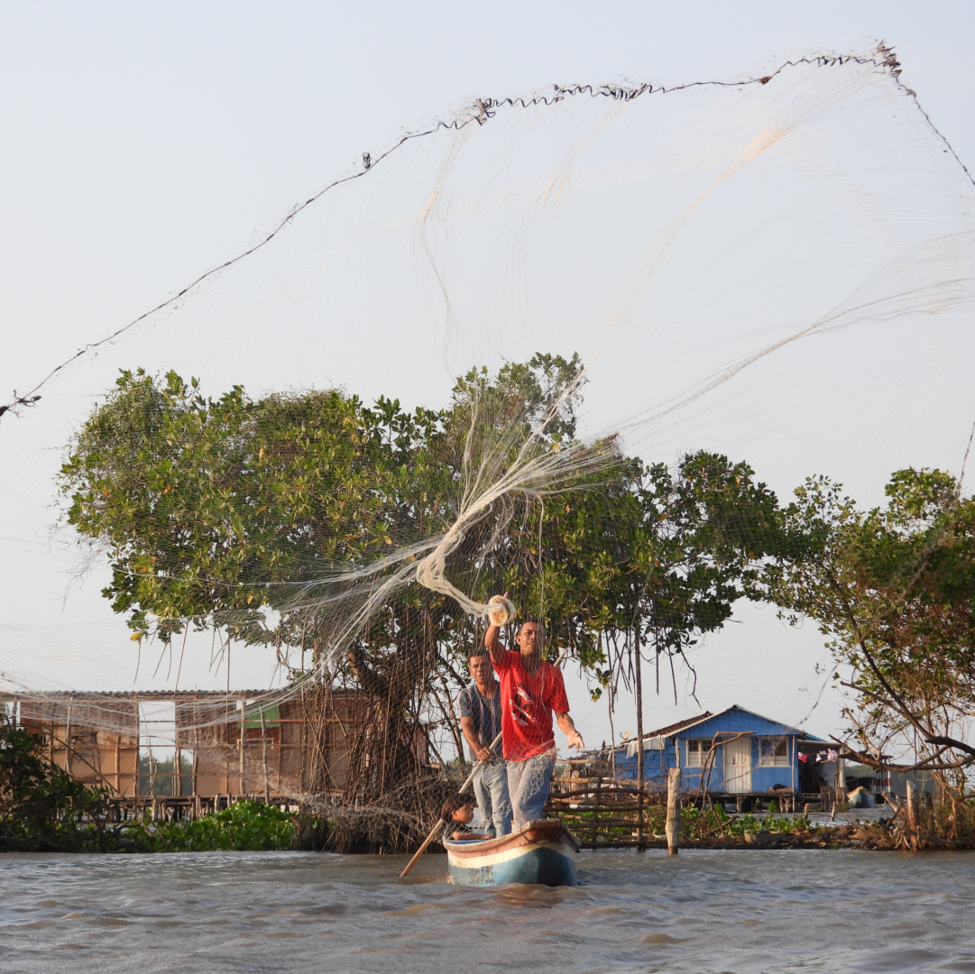 Diseño sin título (25)