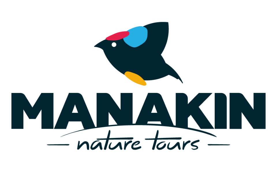 dark logo