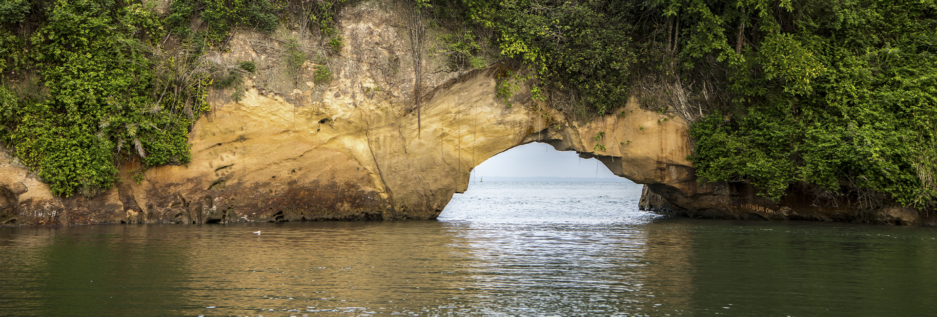 El Morro Tumaco - Birding Tour