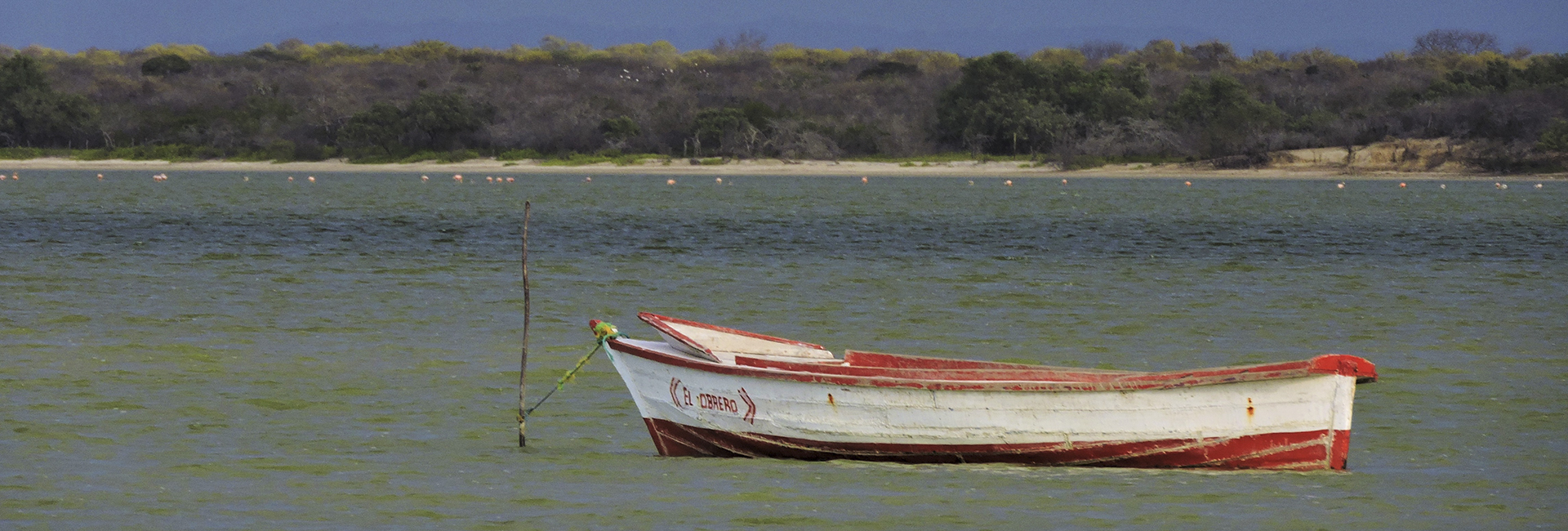 Landscape Caribe - Guajira Peninsula Birding