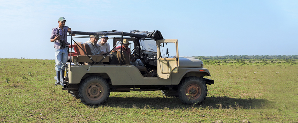 Llanos Birding in La Aurora