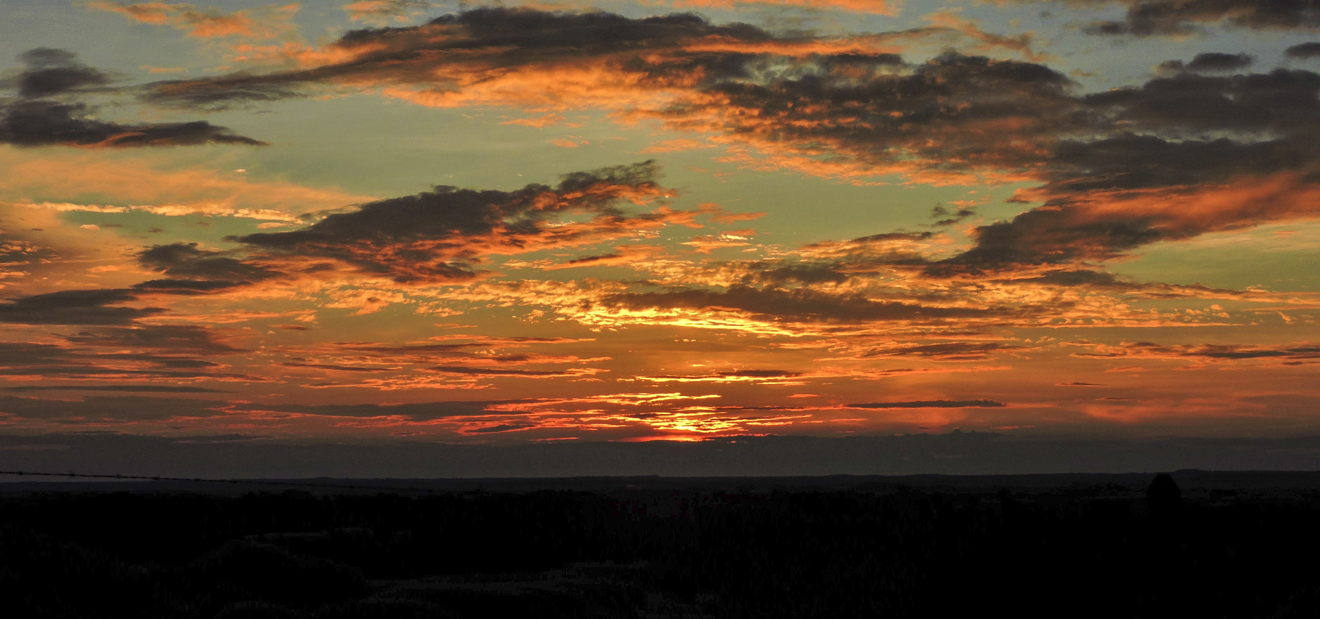Llanos Landscape - Mururito