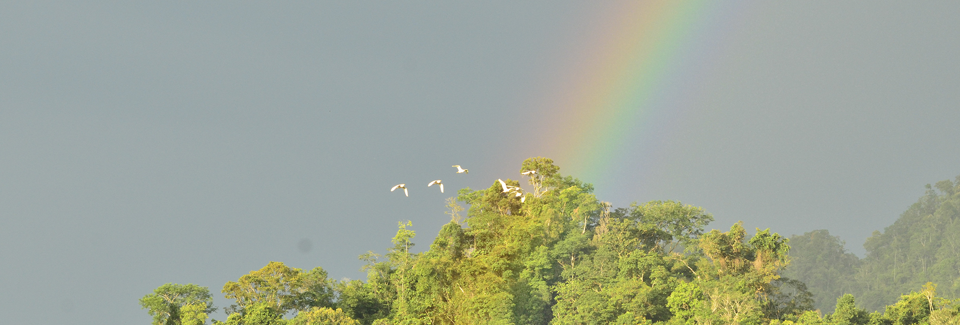Magdalena Valley Landsacpe - Birdwatching Colombia