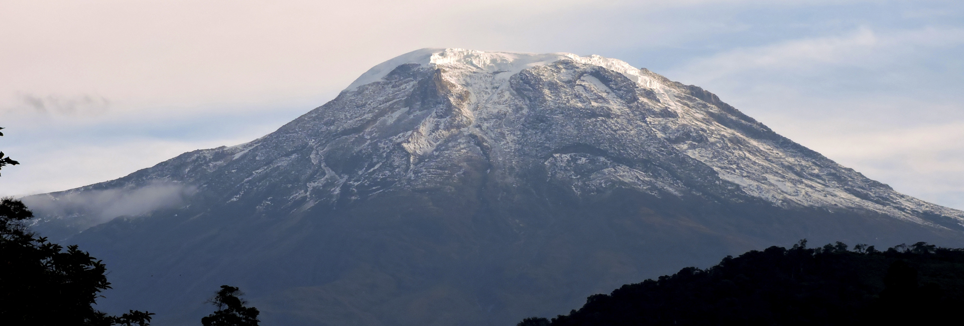 Nevado del Tolima - Colombia Birdwatching