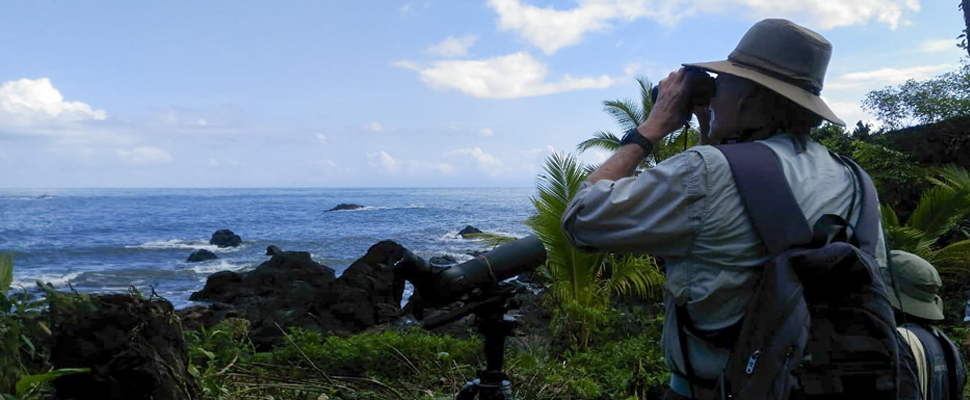 Steve Hilty - Birding in Colombia