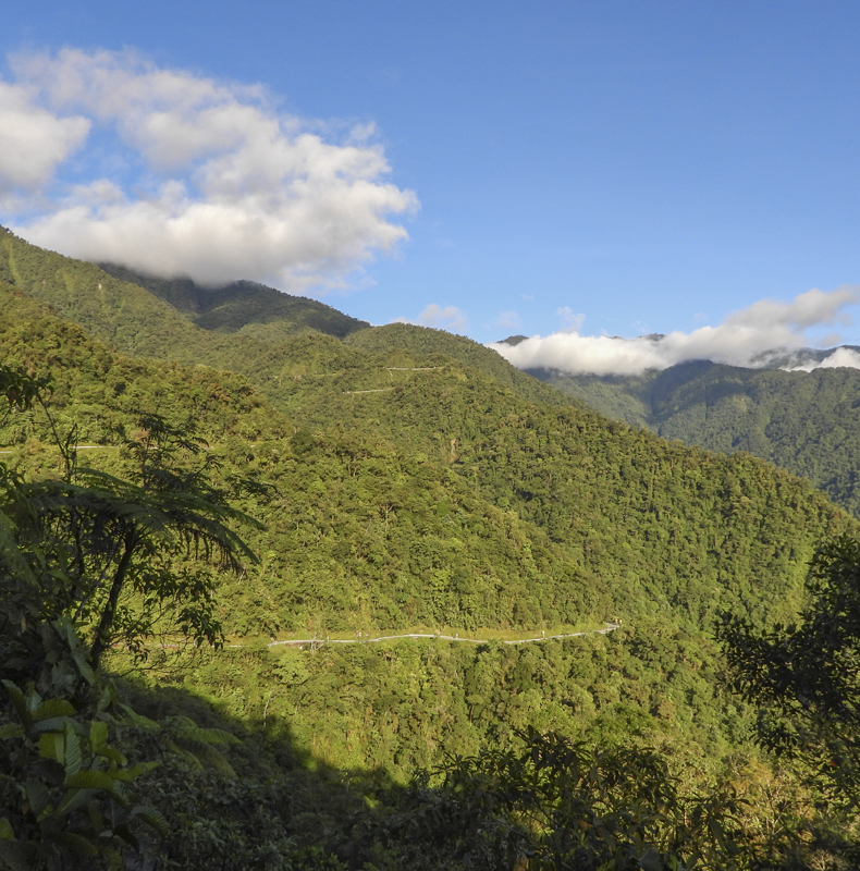 Trampolin de las Aves - Birding in Colombia - Putumayo