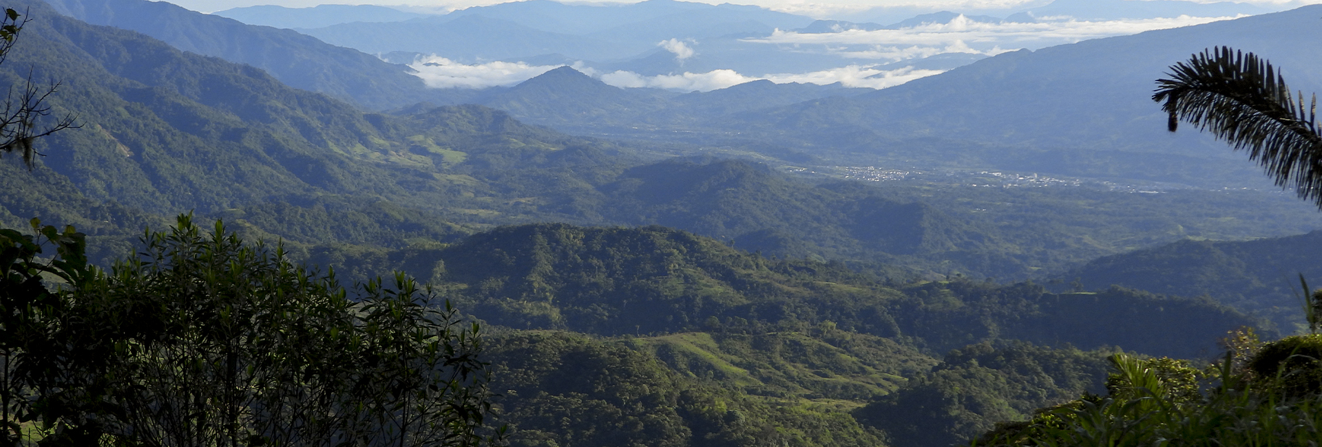 Trampolin de las Aves VENT Southren Colombia