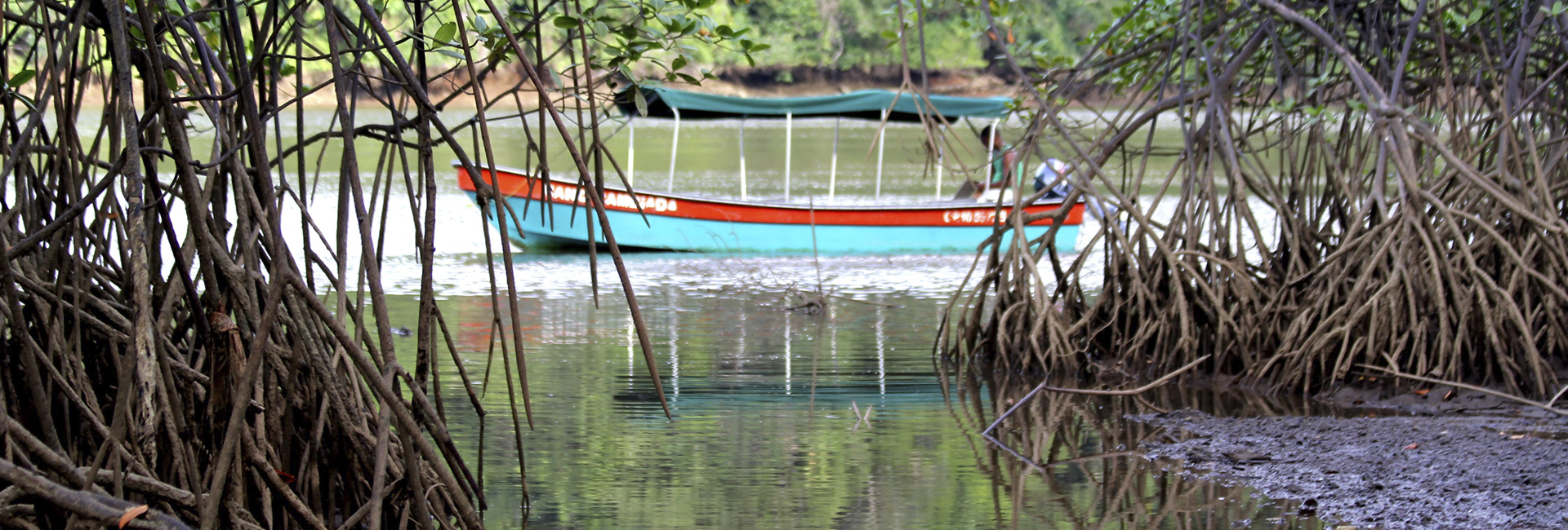 Utria National Park - Birding Tour