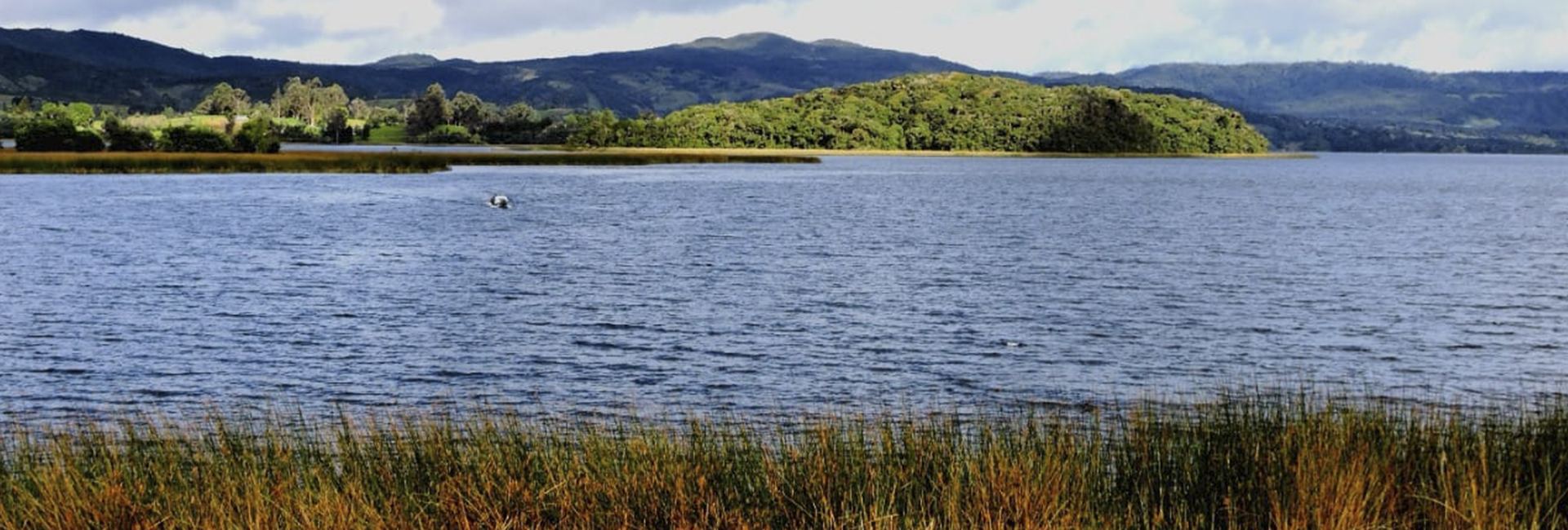 La cocha - Birdwatching Colombia - Nature Tours