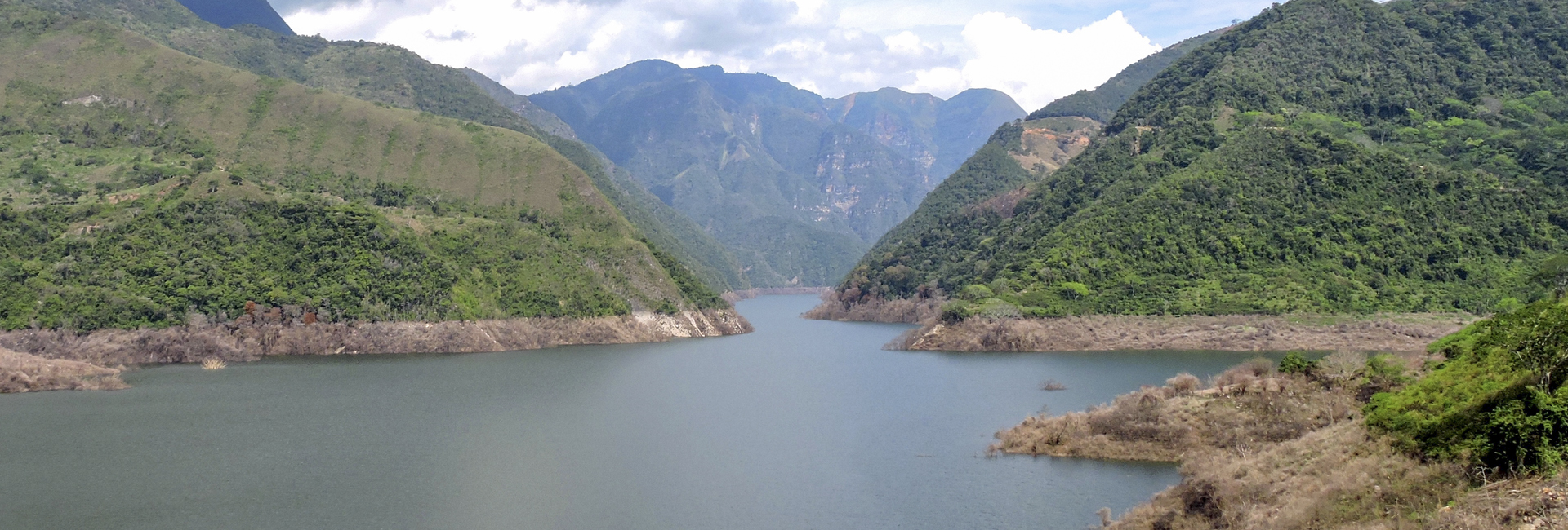 Hidrosogamoso Magdalena Valley Birding