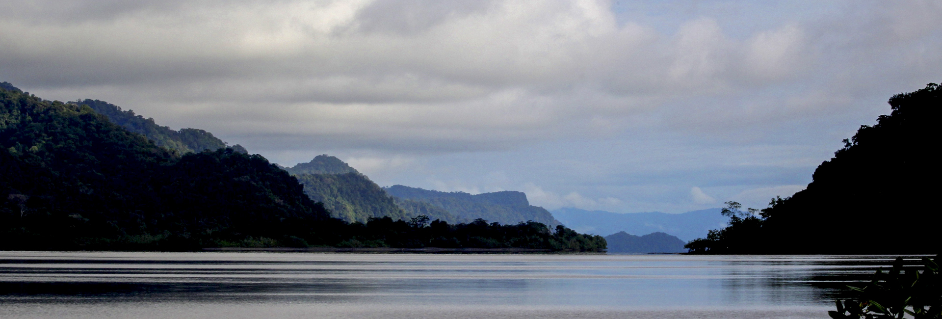 Parque Nacional Natural Utria - Birding Tour Colombia