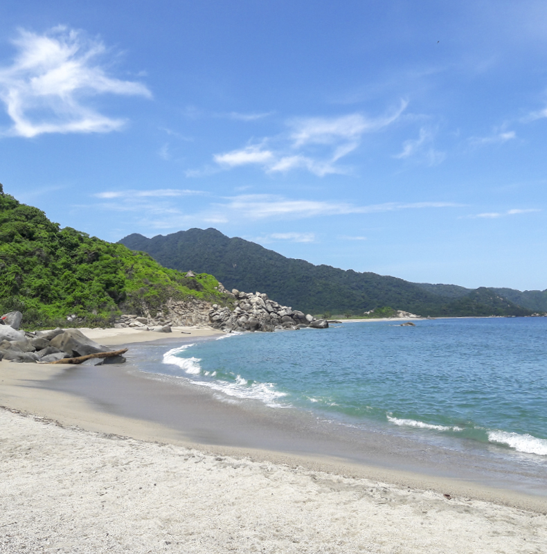 Tayrona National Park - Colombia Widllife