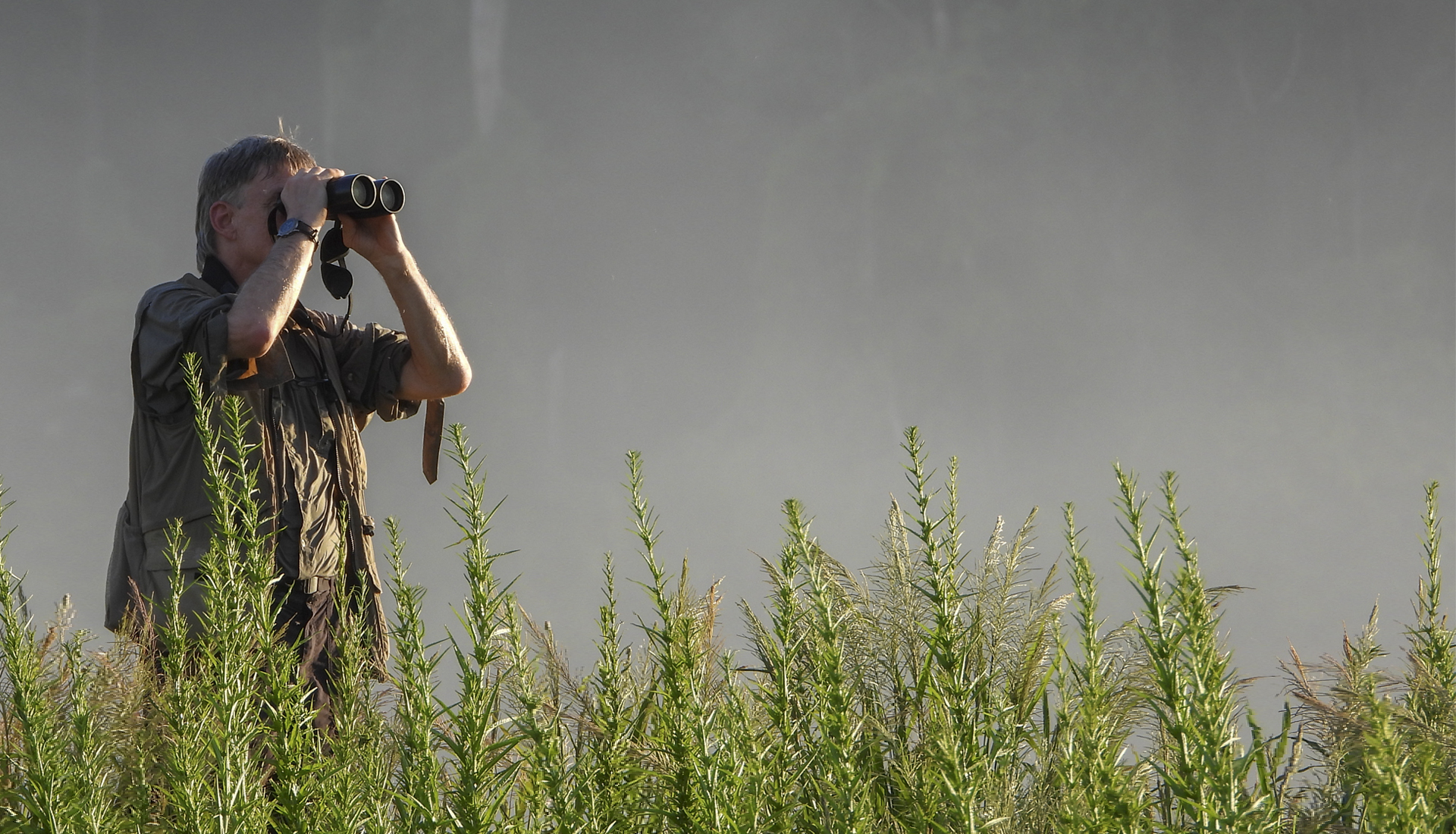 AWESOME NATURE HOLIDAYS - BIRDING TOURS IN COLOMBIA