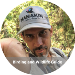 Alejandro Nagy - Birdwatching Colombia Alejandro Nagy - Birdwatching Colombia
