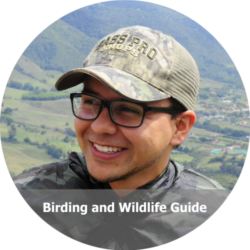 Daniel Lopez - Caribbean Birding Tours Daniel Lopez - Caribbean Birding Tours