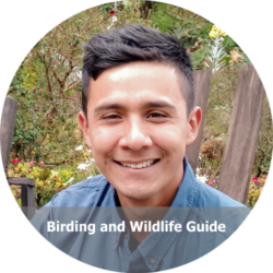 Michael Molina - Birding Colombia Michael Molina - Birding Colombia