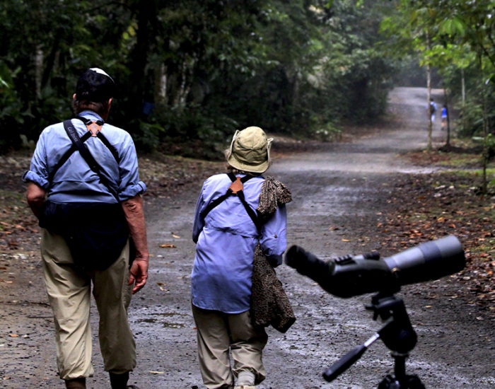 Birding in Rio Claro Reserve