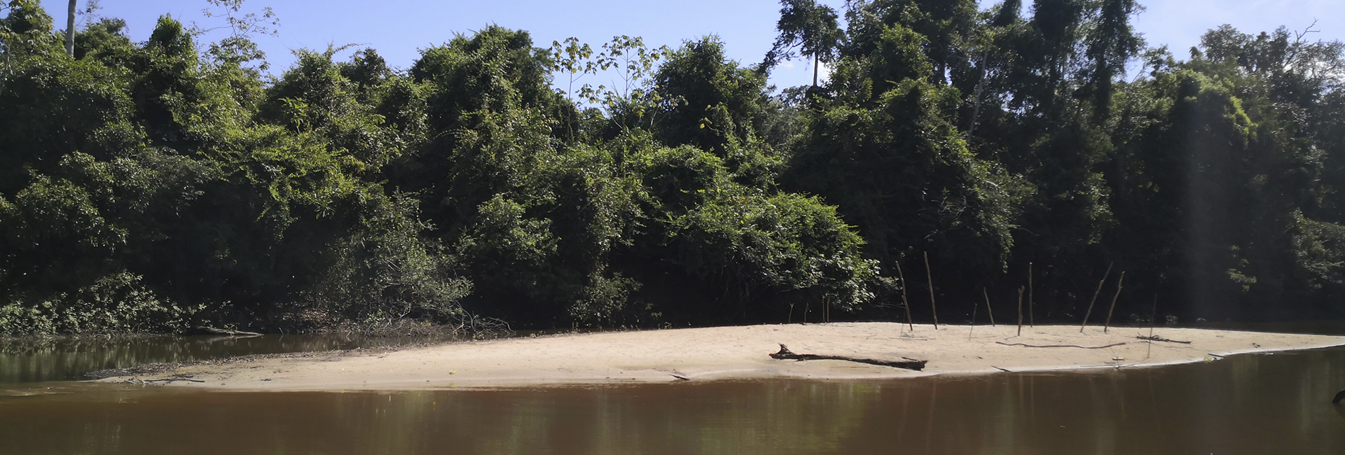 Matamata Amazon Reserve