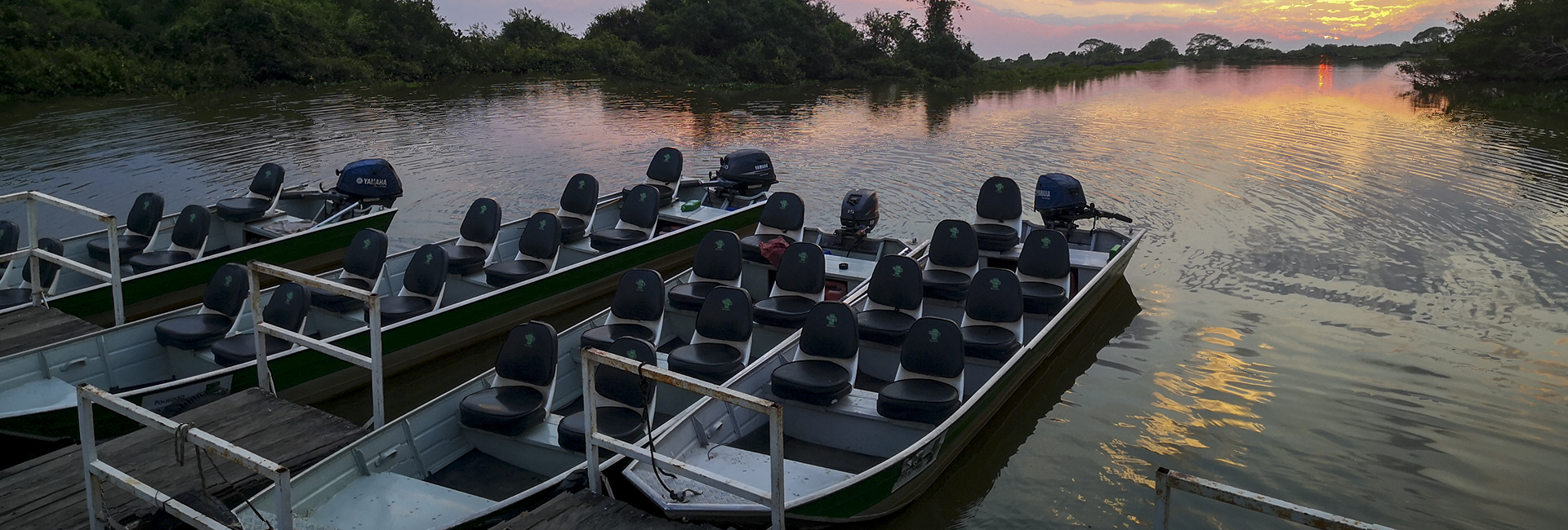 Jofre River in Pantanal