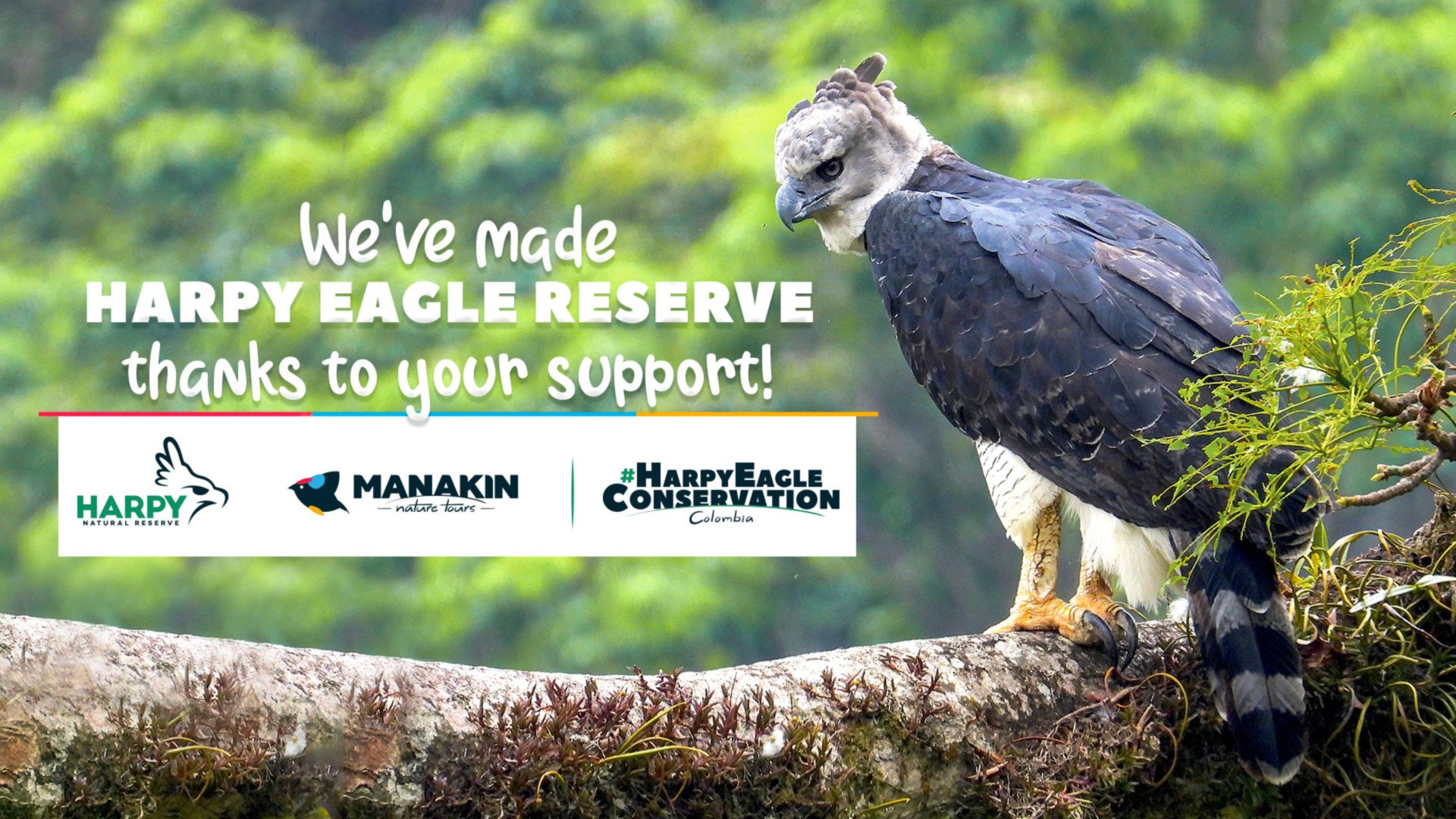 Harpy Eagle as a Flagship for Community-based Conservation and Forest  Restoration