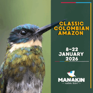 Classic Colombian Amazon
