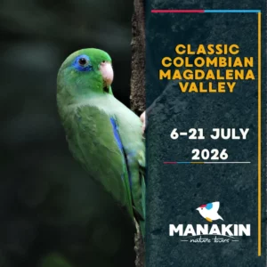 Classic Colombian Magdalena Valley