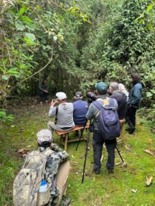 Antpitta Station