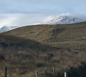 Los nevados national park and the paramo ecosystem