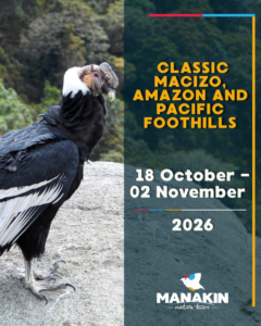 MACIZO, AMAZON AND PACIFIC FOOTHILLS