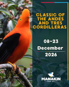 THE CLASSIC ANDES AND “TRES CORDILLERAS” THE CLASSIC ANDES AND - TRES CORDILLERAS